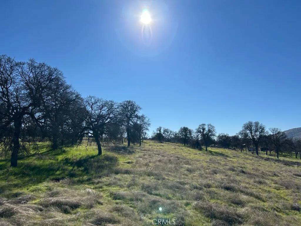 Catheys Valley, CA 95306,5 El Toro