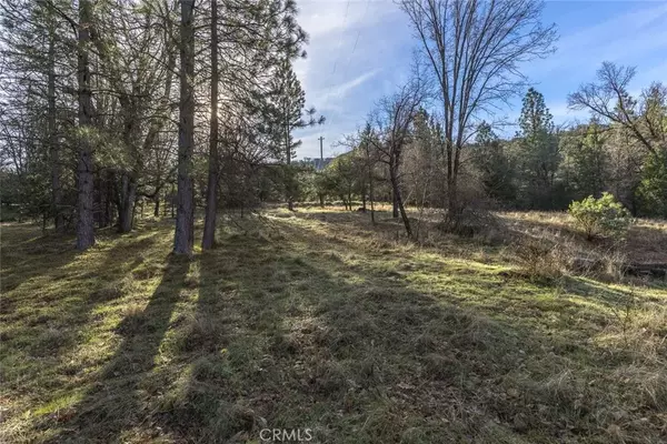 Mariposa, CA 95338,1839 Appleseed
