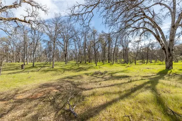 Mariposa, CA 95338,5328 E Whitlock
