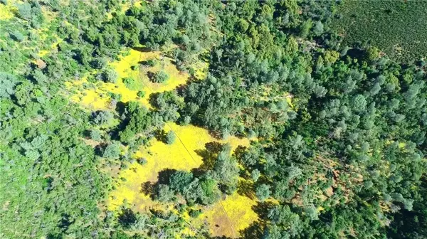 Coulterville, CA 95311,100 Buckhorn Fire Rd.