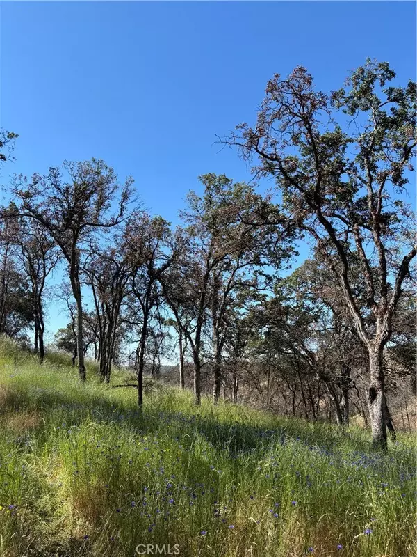 Mariposa, CA 95338,5358 Mariposa Heights