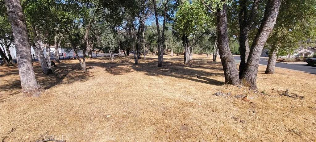 Mariposa, CA 95338,5277 Farfalla