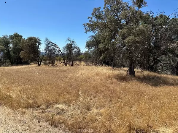 Mariposa, CA 95338,3896 State Highway 140