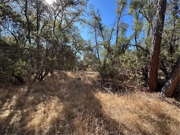 Mariposa, CA 95338,4275 Ashworth