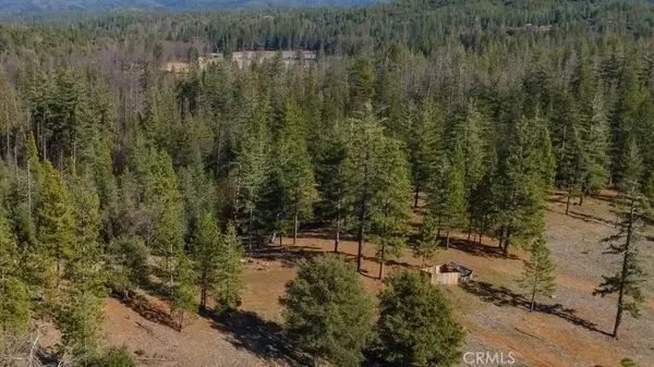 Coulterville, CA 95311,0 Ernst