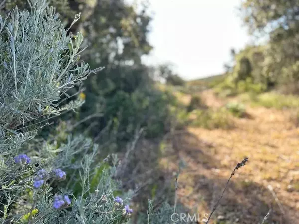 Warner Springs, CA 92086,37737 Stamnes