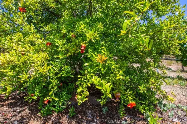 Murrieta, CA 92562,0 Via Herradura