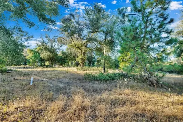 Julian, CA 92036,1077 W INCENSE CEDAR