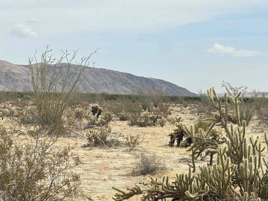 Borrego Springs, CA 92004,0 Indian Head Ranch