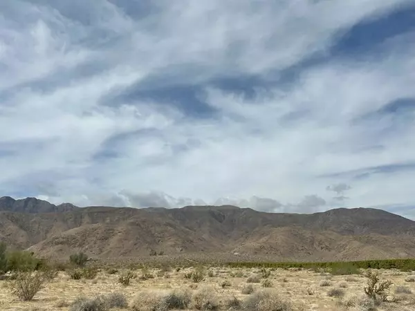 Borrego Springs, CA 92004,0 Coyote