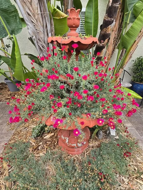 San Diego, CA 92116,4663 Iowa Street #7