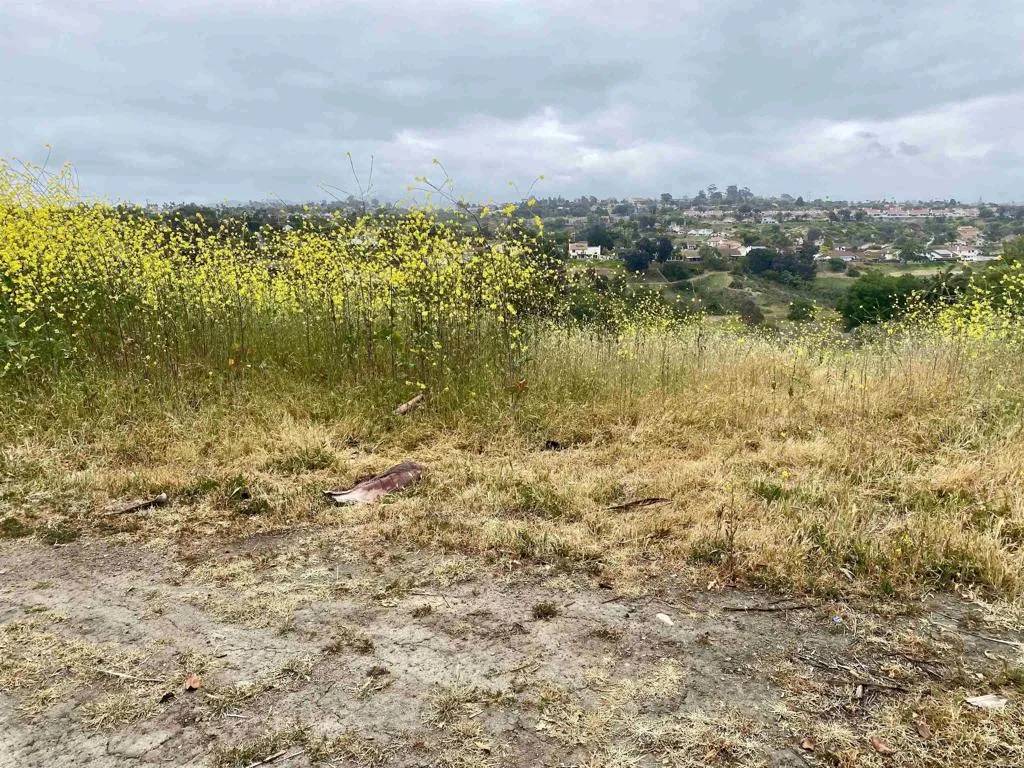 Oceanside, CA 92056,0 Oceanview Road