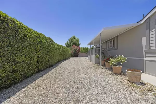 Saugus, CA 91350,26411 Bentgrass