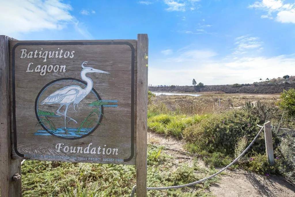 Carlsbad, CA 92011,1328 Bulrush Court