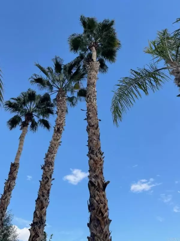 Cathedral City, CA 92234,69411 Ramon Rd #873