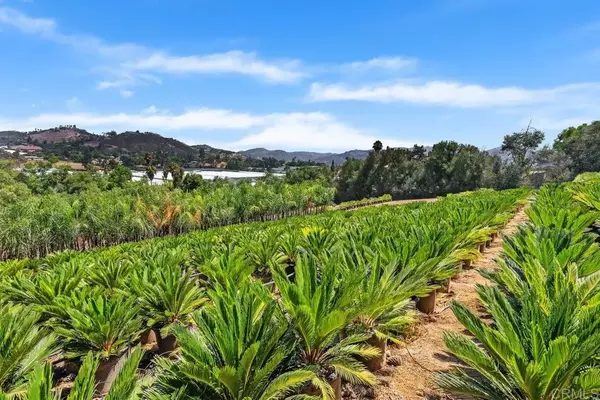 San Marcos, CA 92069,Easy