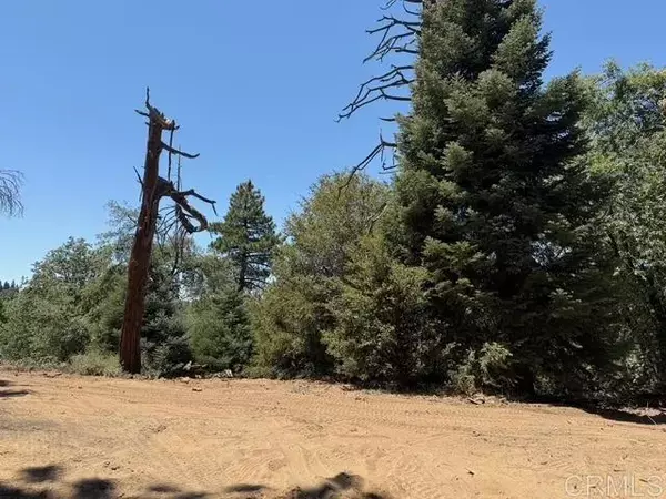 Palomar Mountain, CA 92060,20 Acres Fry Creek