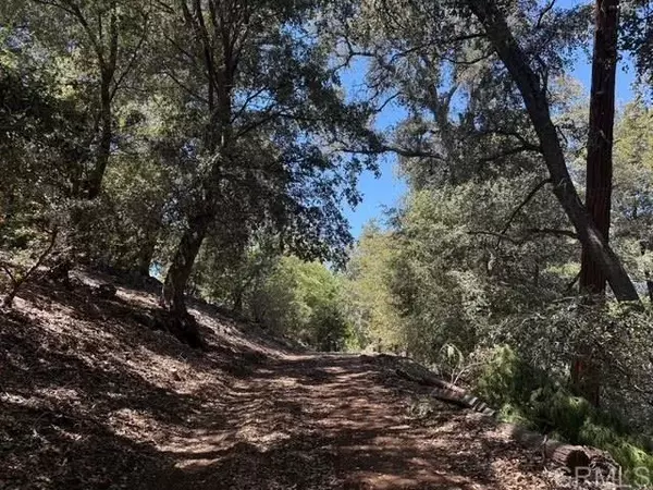 Palomar Mountain, CA 92060,20 Acres Fry Creek