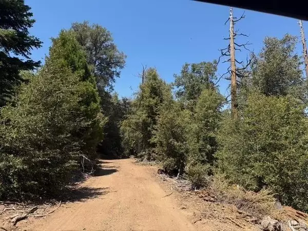 Palomar Mountain, CA 92060,20 Acres Fry Creek