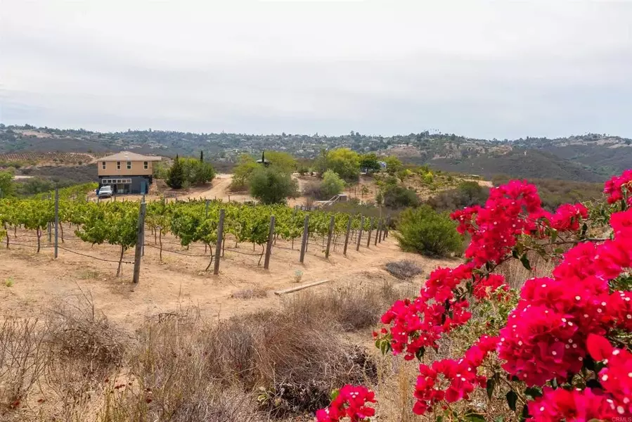 1738 Via De Lago, Fallbrook, CA 92028