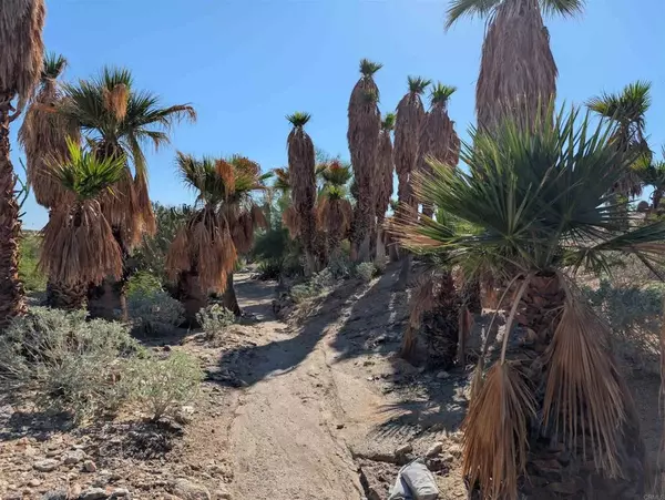 Borrego Springs, CA 92004,45 Rocking Chair