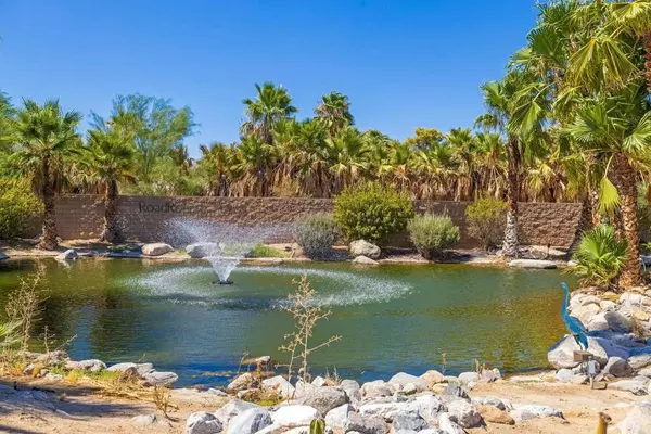 Borrego Springs, CA 92004,1010 Palm Canyon #368