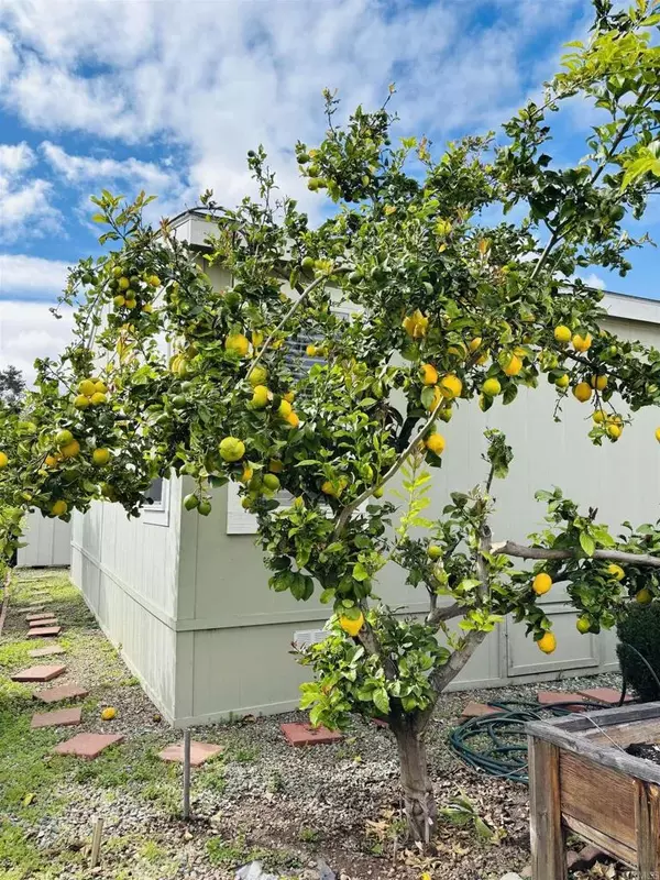 Vista, CA 92084,1010 E Bobier #137