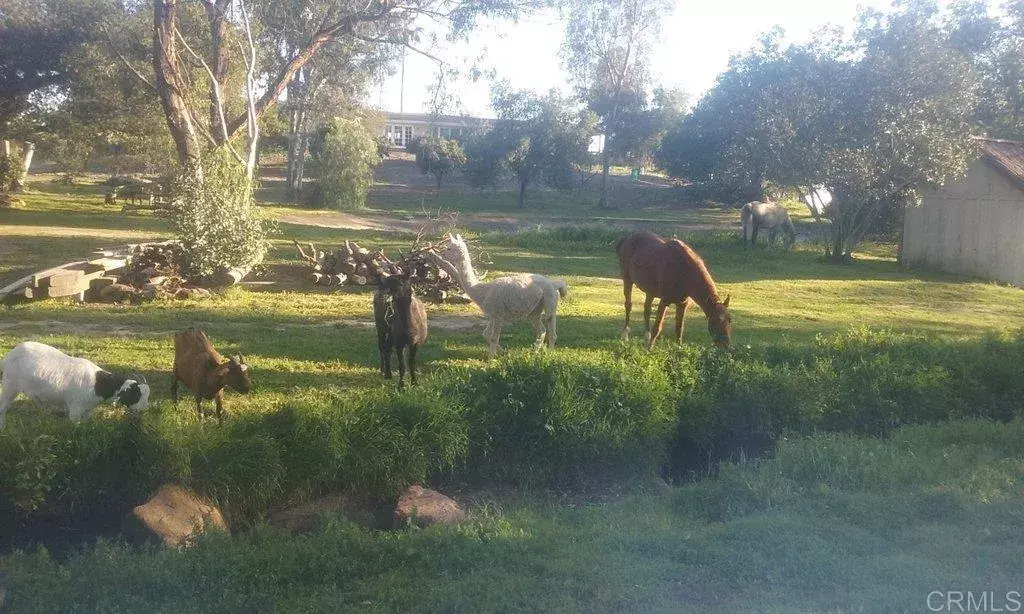 Fallbrook, CA 92028,6490 Rainbow Heights Road