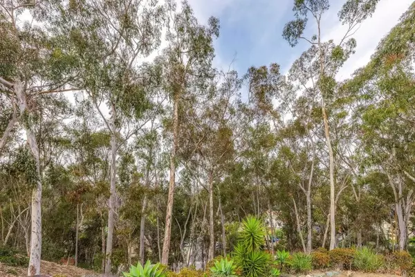 Carlsbad, CA 92008,2062 AVENUE OF THE TREES