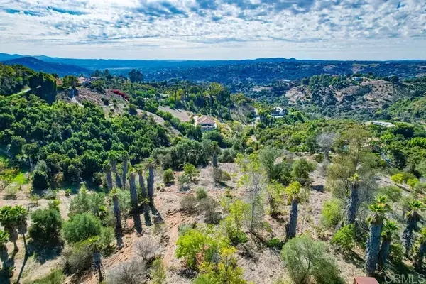 Fallbrook, CA 92028,Lupine