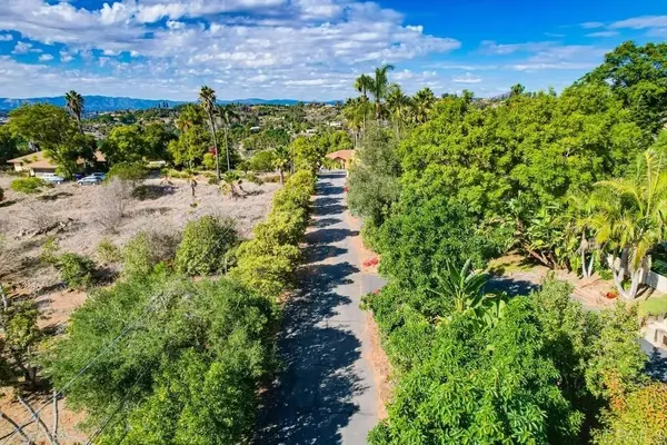 Fallbrook, CA 92028,0 Lupine