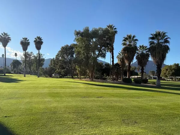 Borrego Springs, CA 90224,1010 Palm Canyon #264