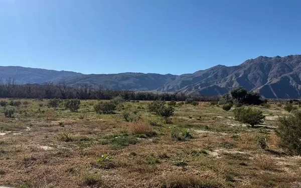 Borrego Springs, CA 92004,Borrego Springs