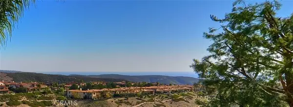 Newport Coast, CA 92657,6 COASTAL CANYON Drive