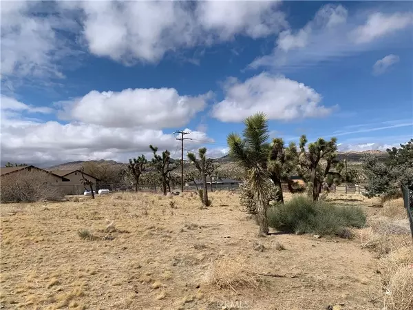 Yucca Valley, CA 92284,0 Diadem