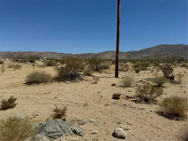 Landers, CA 92285,0 Manzanita