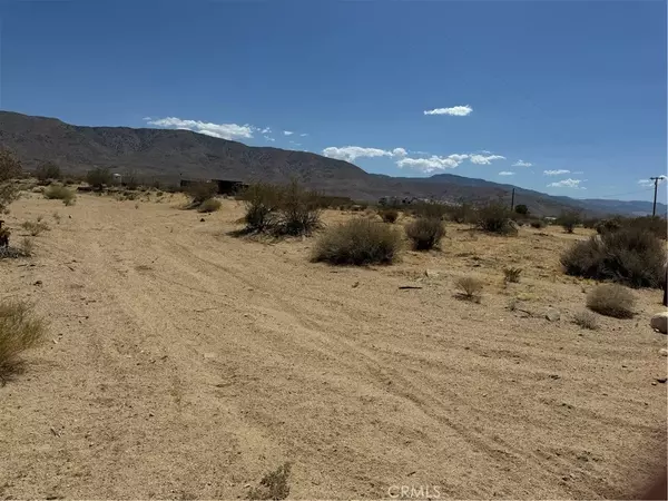 Landers, CA 92285,0 Manzanita