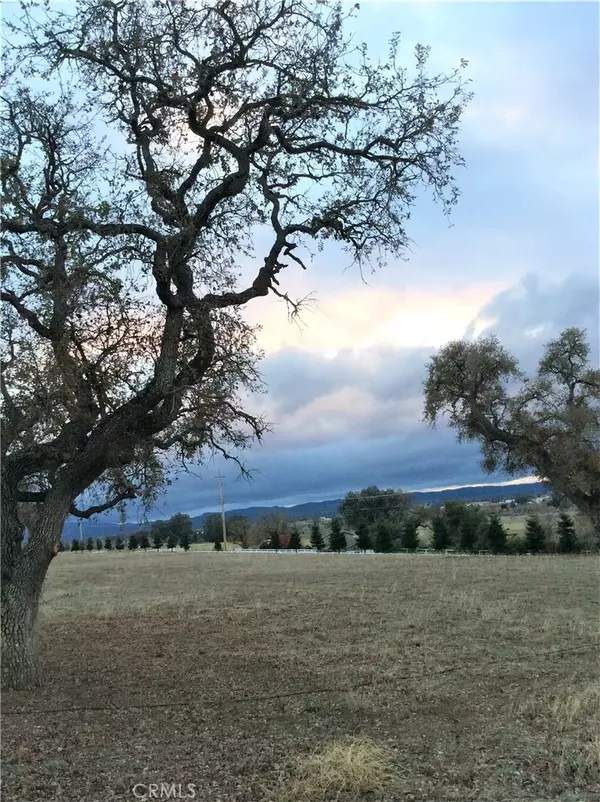 Templeton, CA 93465,1320 Fire Rock Loop