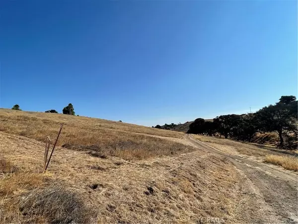 Paso Robles, CA 93446,0 Black Tail