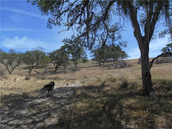 Templeton, CA 93465,3740 E Highway 41