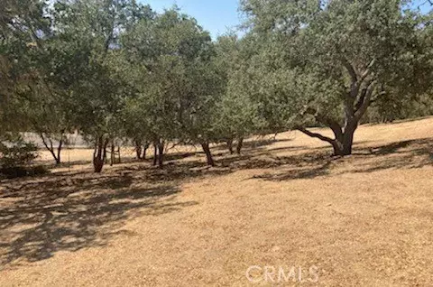 2177 Ridge Rider, Bradley, CA 93426