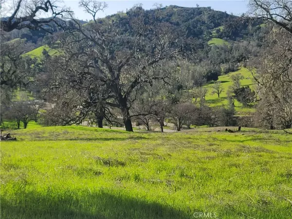 Paso Robles, CA 93446,40 Tres Vista