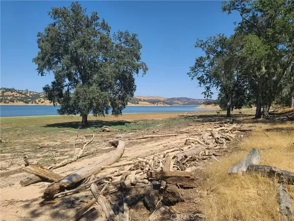 Paso Robles, CA 93446,10 Allen