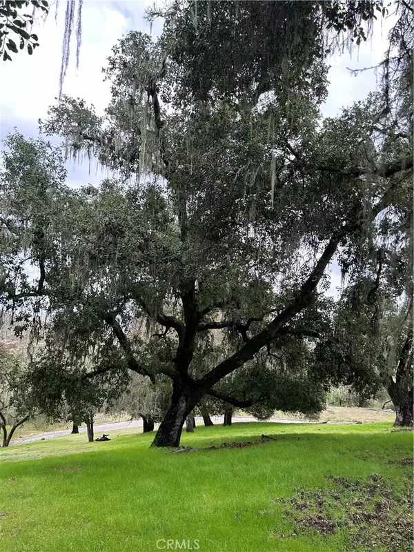 Paso Robles, CA 93446,9960 Bluegill