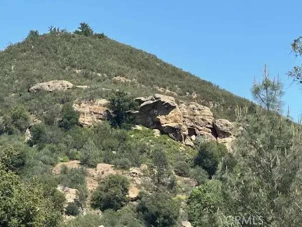 Bradley, CA 93426,74620 Copperhead