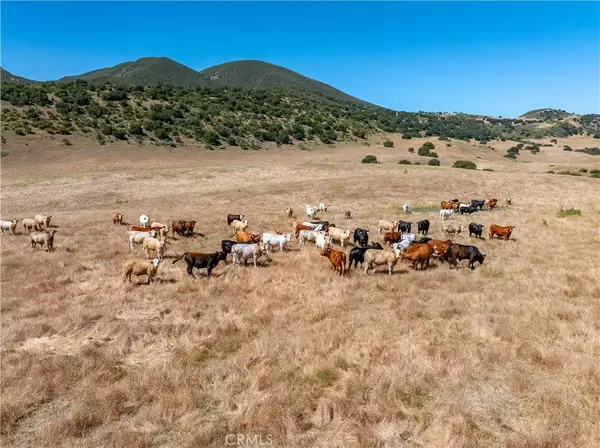 Greenfield, CA 93927,48400 Reliz Canyon