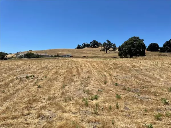Paso Robles, CA 93446,9999 Bluegill