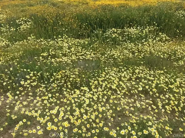 0 Arlight, California Valley, CA 93453