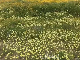California Valley, CA 93453,0 Briar