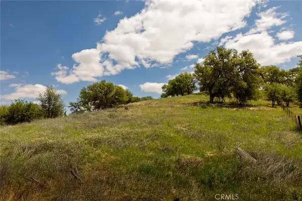 Paso Robles, CA 93446,3233 Whispering Trails